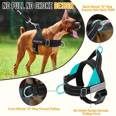 SlowTon no pull harness back clip used for everyday walking