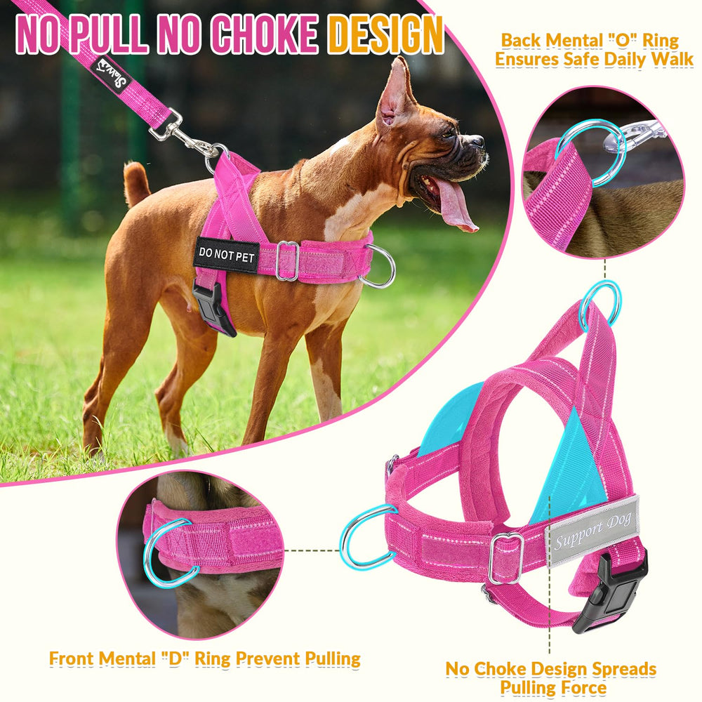 SlowTon No Pull Harness chest D-ring detail for training and guiding.