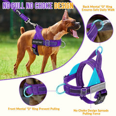 SlowTon No Pull Harness chest D-ring supports training and direction.