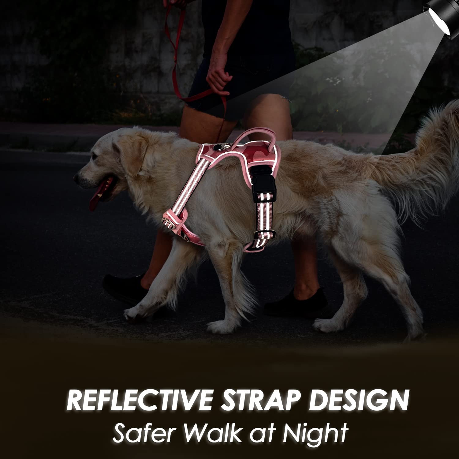SlowTon No Pull Harness easy wear with dual buckle system