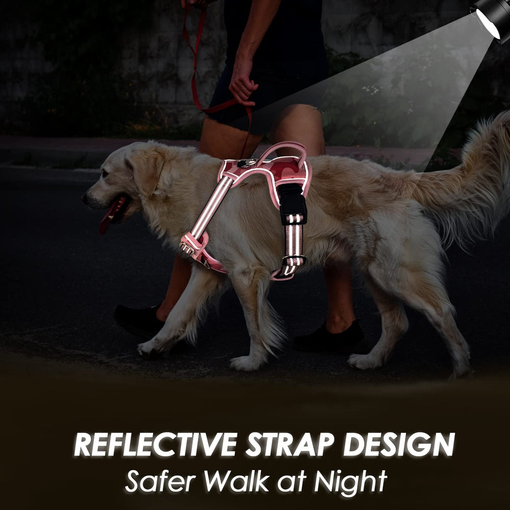 SlowTon No Pull Harness easy wear with dual buckle system