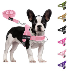 SlowTon harness front clip improves control during walks and training