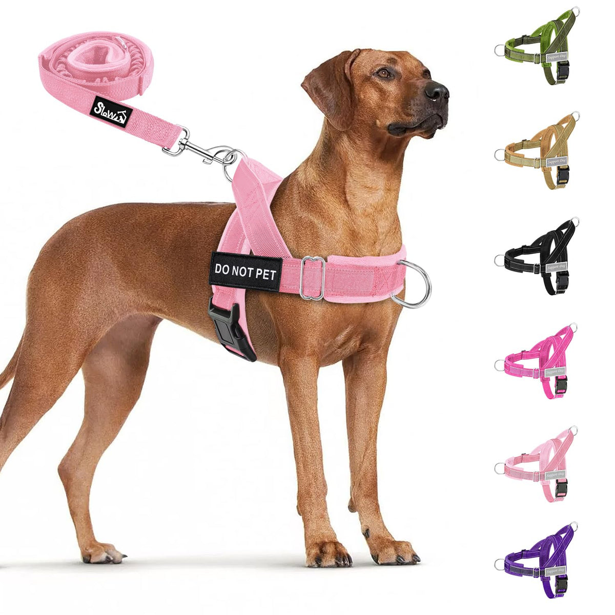 SlowTon No Pull Harness front clip for easy control during training and walks.