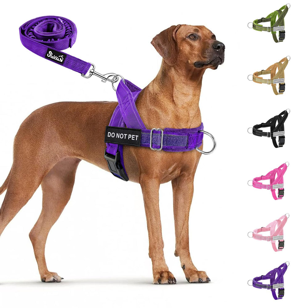 SlowTon No Pull Harness front view for easy control during walks.