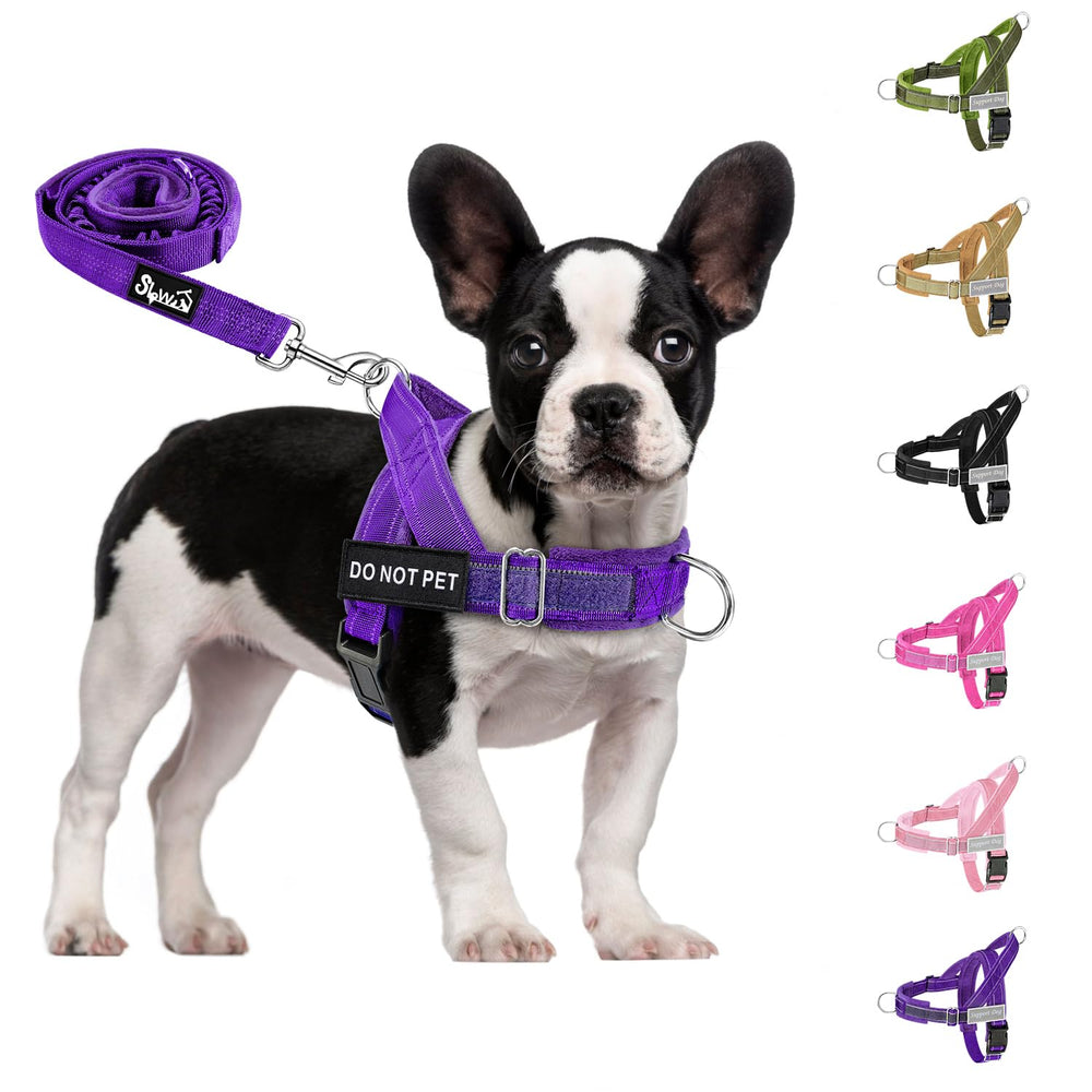 SlowTon No Pull Harness front view demonstrates secure, comfortable fit for daily walks.
