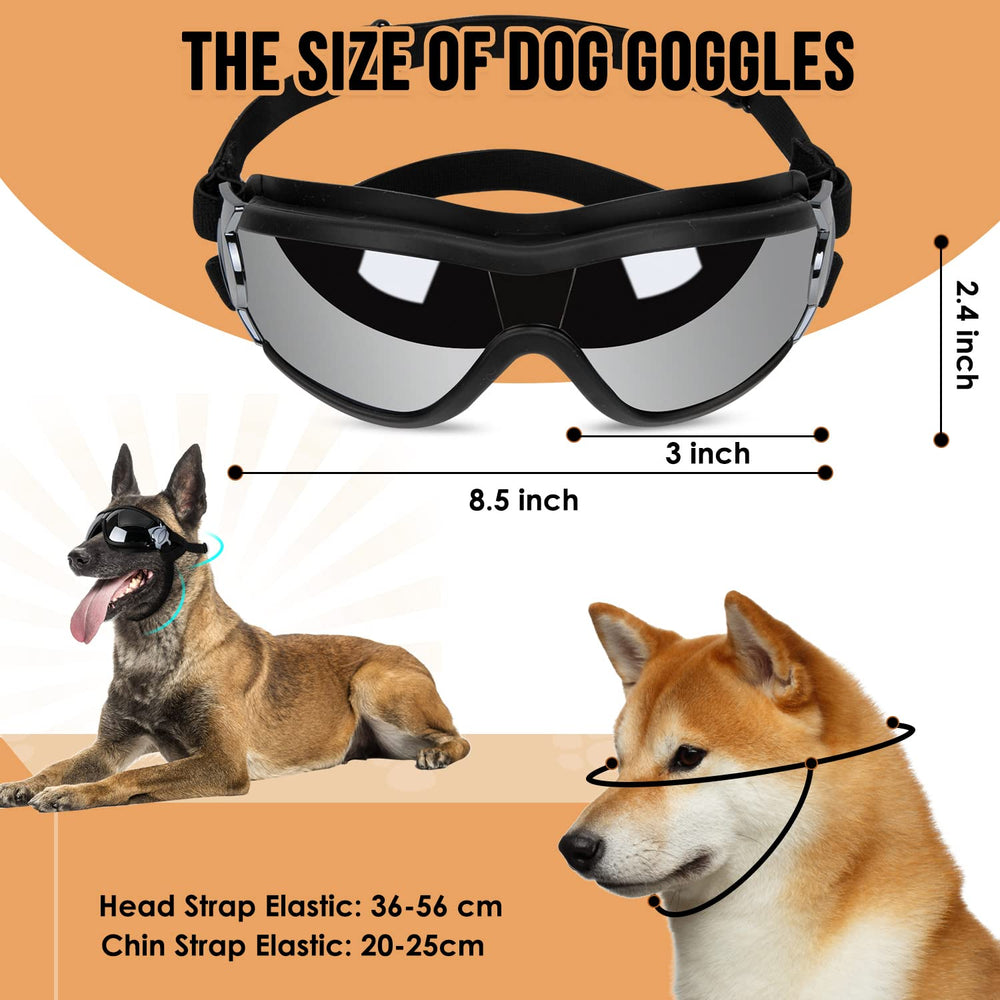 SlowTon outdoor dog ride setup enables safe travel and photos