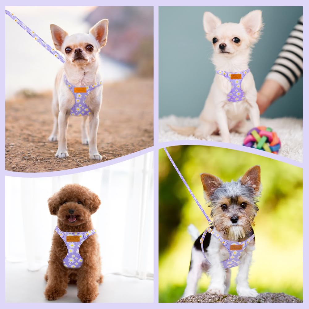 SlowTon puppy walking in floral pattern for stylish comfort