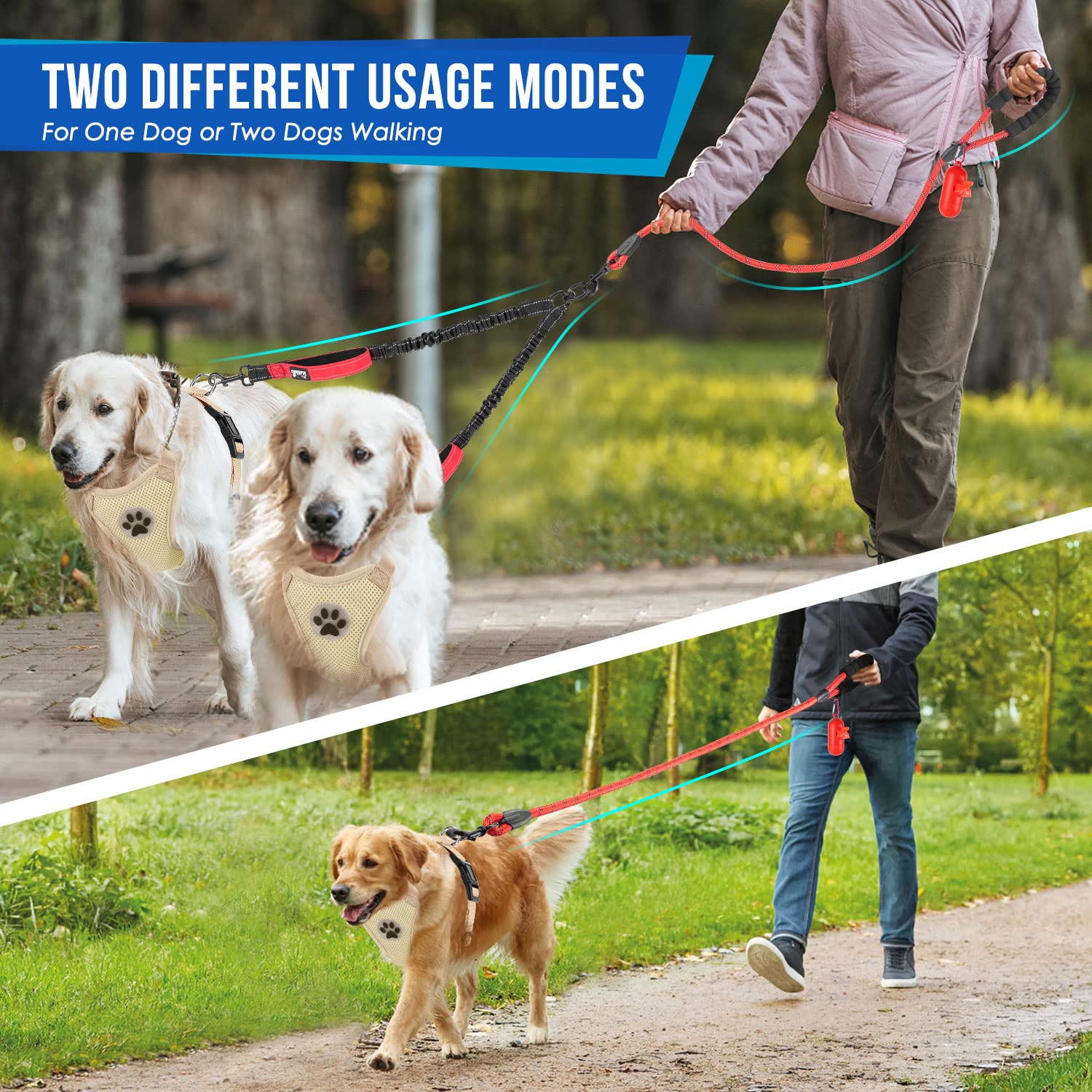SlowTon two-dogs-walk-action demonstrates coordinated movement.