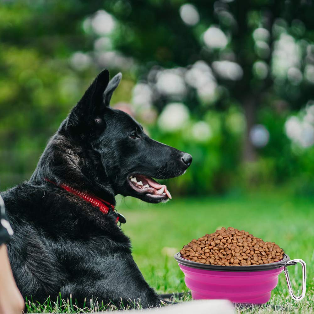 SLSON comedero-perro-colapsable-expandido con capacidad de 34 onzas.