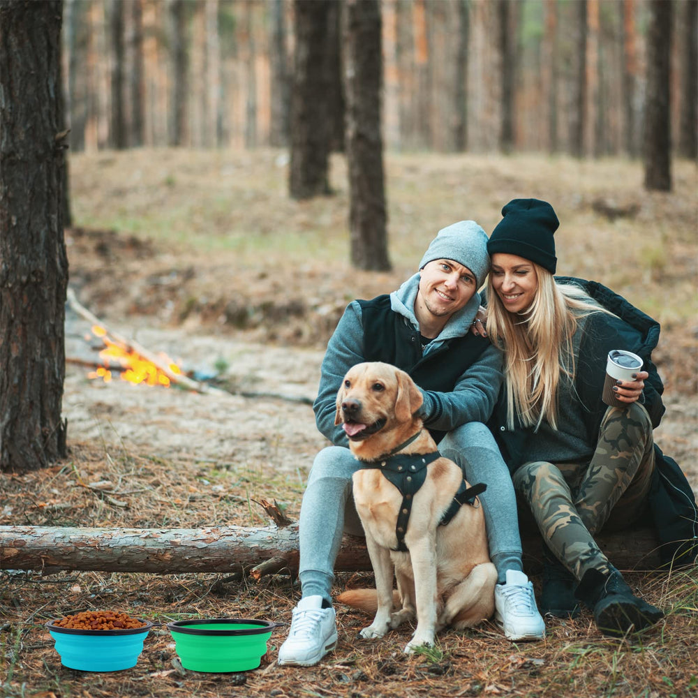 SLSON dog bowl shows buckle attachment for on-the-go carrying.