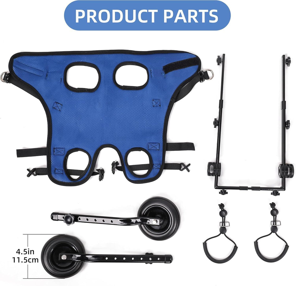 Small Dog Wheelchair hind-leg-support-system helps cautious pets regain confidence on walks.