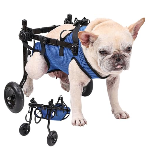 Small Dog Wheelchair hip-support helps aging pets stay stable during gentle outdoor strolls.