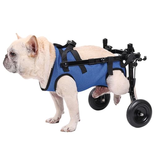 Small Dog Wheelchair puppy-measurements-guide clarifies size selection for best fit.
