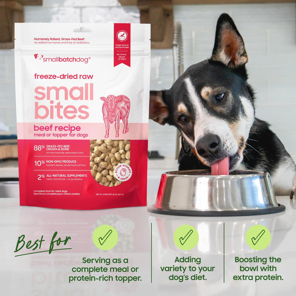 Smallbatch Pets 20oz bag image — value-sized packaging for everyday feeding.