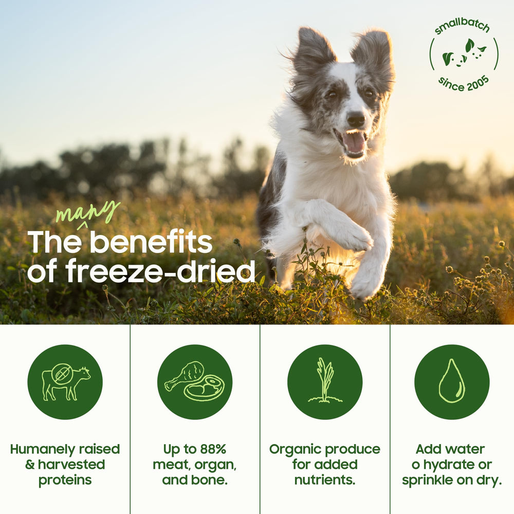 Smallbatch Pets crumble over kibble image — protein-rich topper to boost flavor and meal variety.