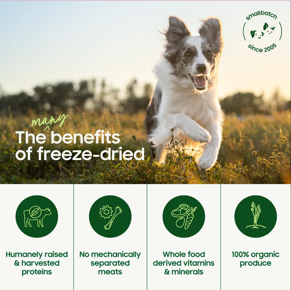 Smallbatch Pets rehydration action shows quick meal prep for dogs