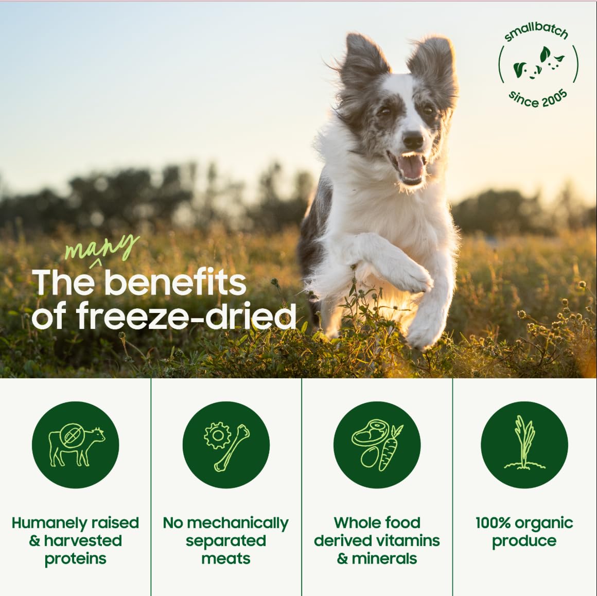 Smallbatch Pets single-protein turkey focus supports simple nutrition.