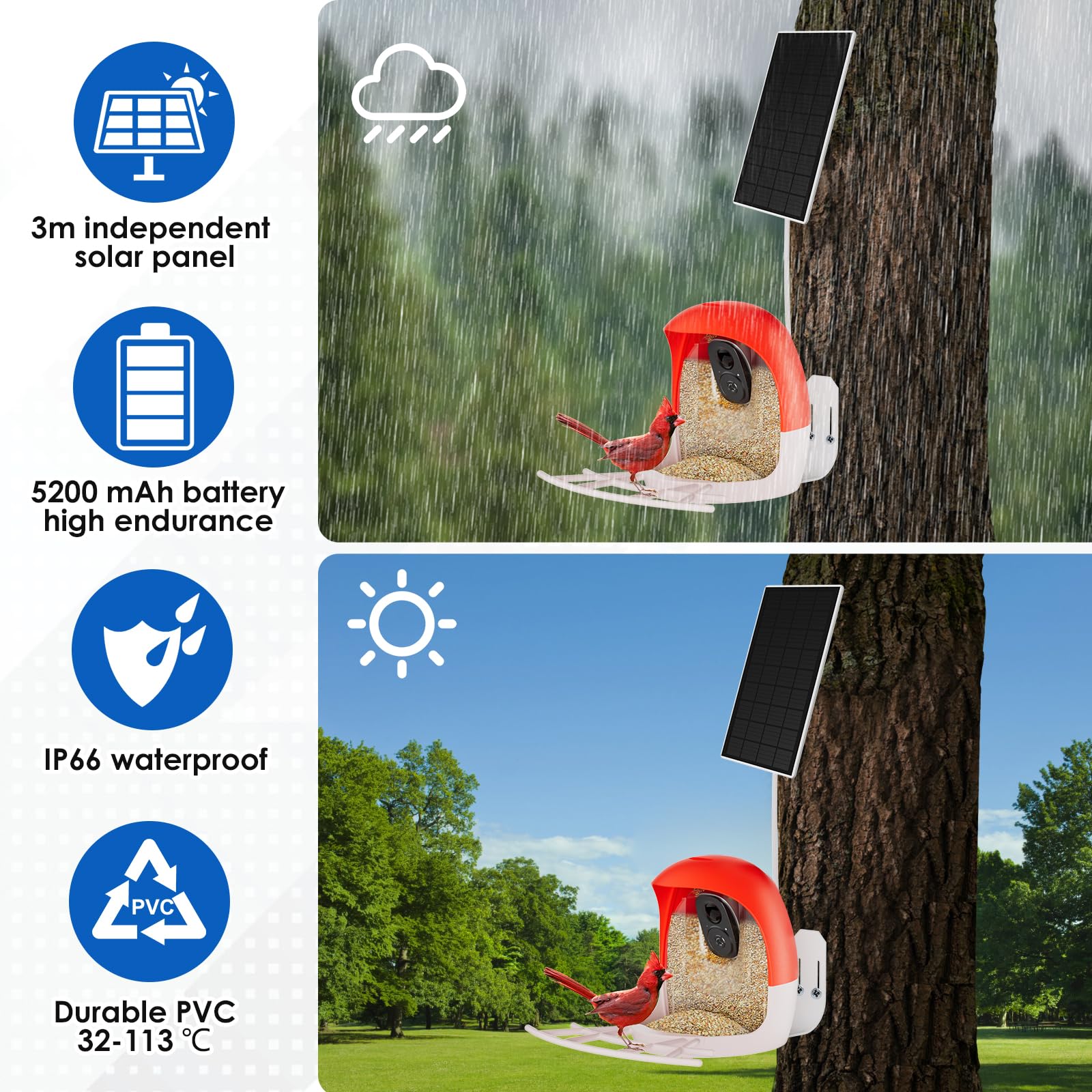 Smart AI Outdoor Solar Bird Feeder bird dining area illustrating feeding behavior