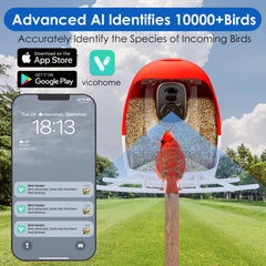 Smart AI Outdoor Solar Bird Feeder camera angle with wide HD view for backyard birds