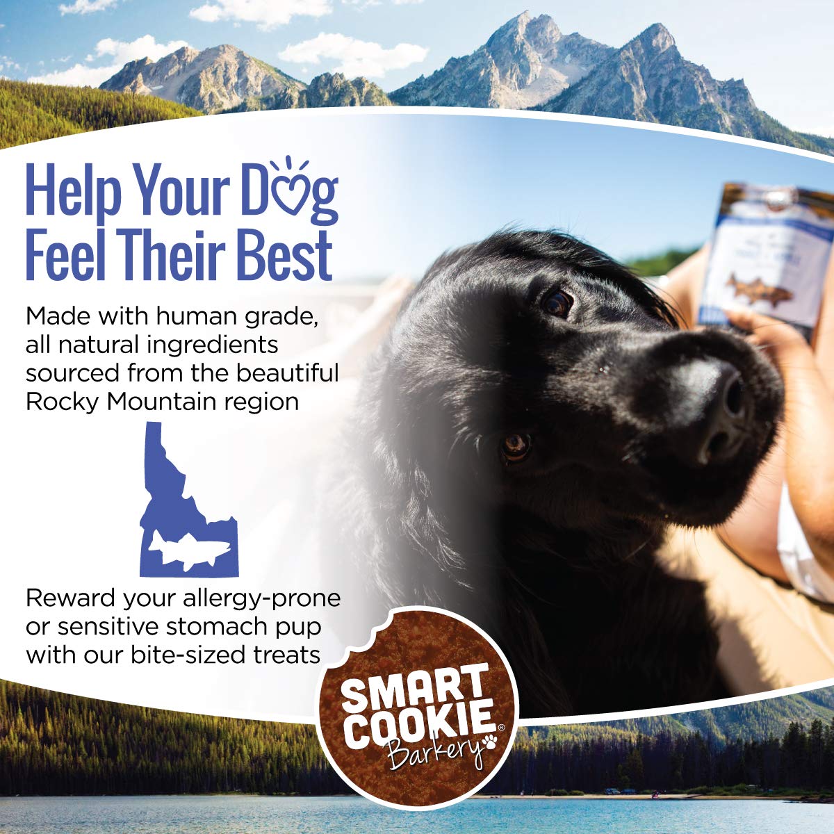 Smart Cookie Made-in-USA treats pack shot highlighting small-batch craft