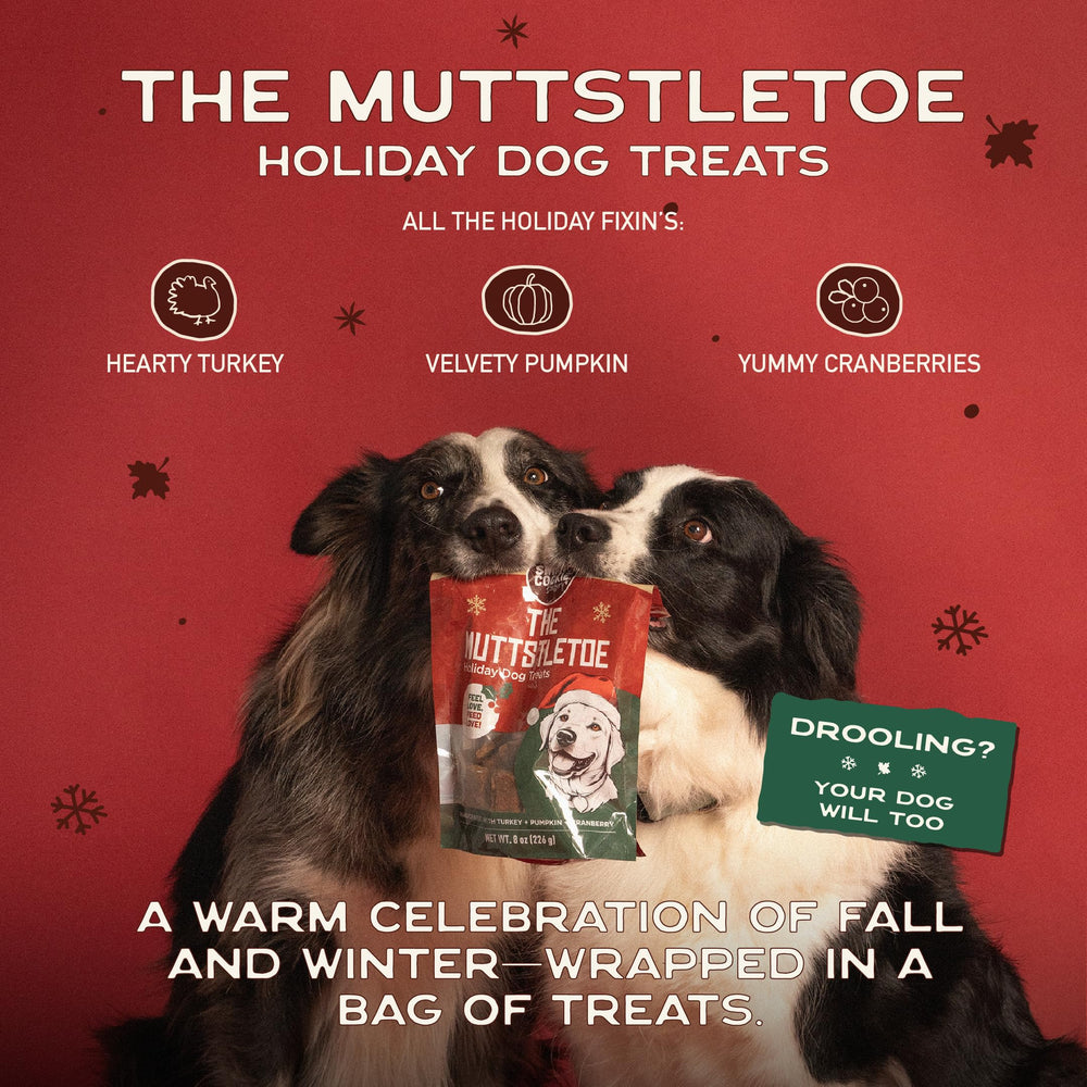 Smart Cookie Muttstletoe dogs enjoying a festive reward moment.