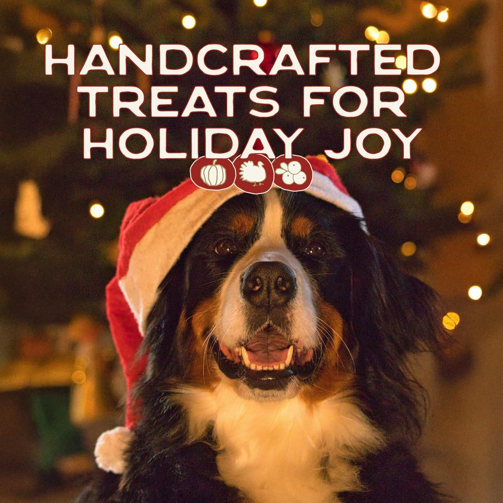 Smart Cookie Muttstletoe three-pack 8oz boxes arranged as stocking stuffer ideas.