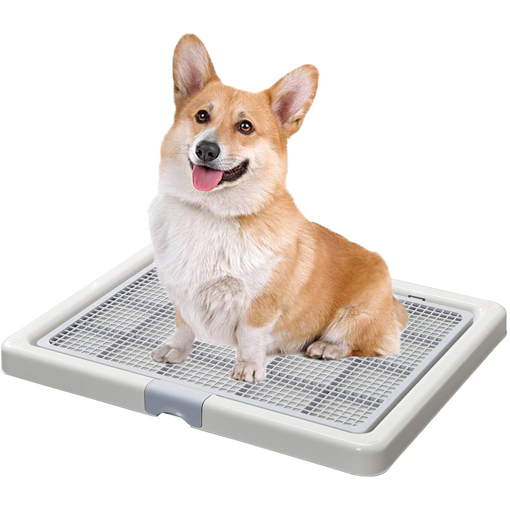 Smart Paws Corgi Potty Toilet overview demonstrates spacious training area for dogs