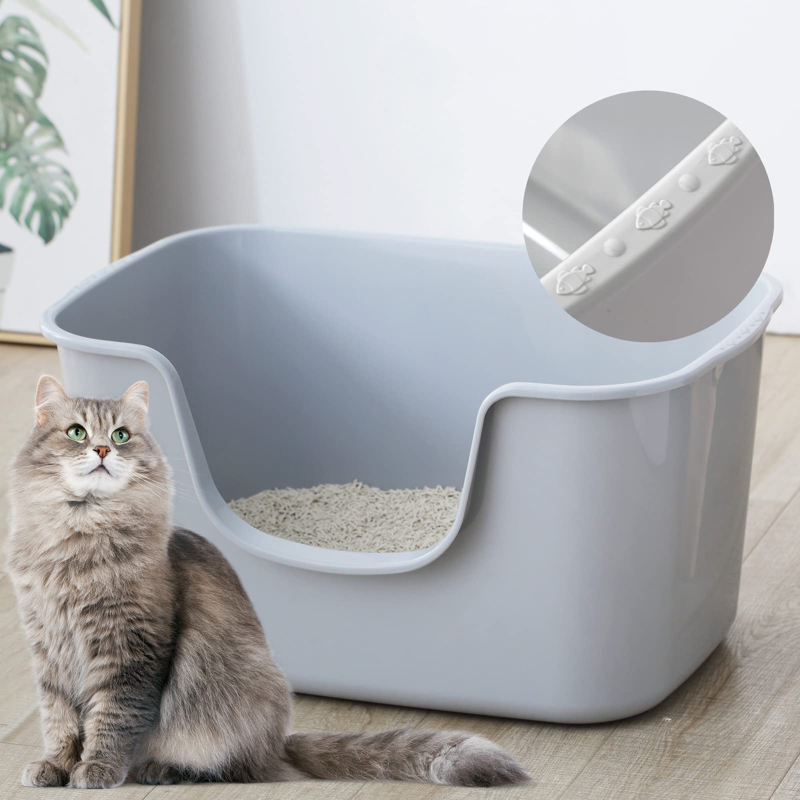 Smart Paws extra large jumbo cat litter box with open top for Maine Coon comfort.