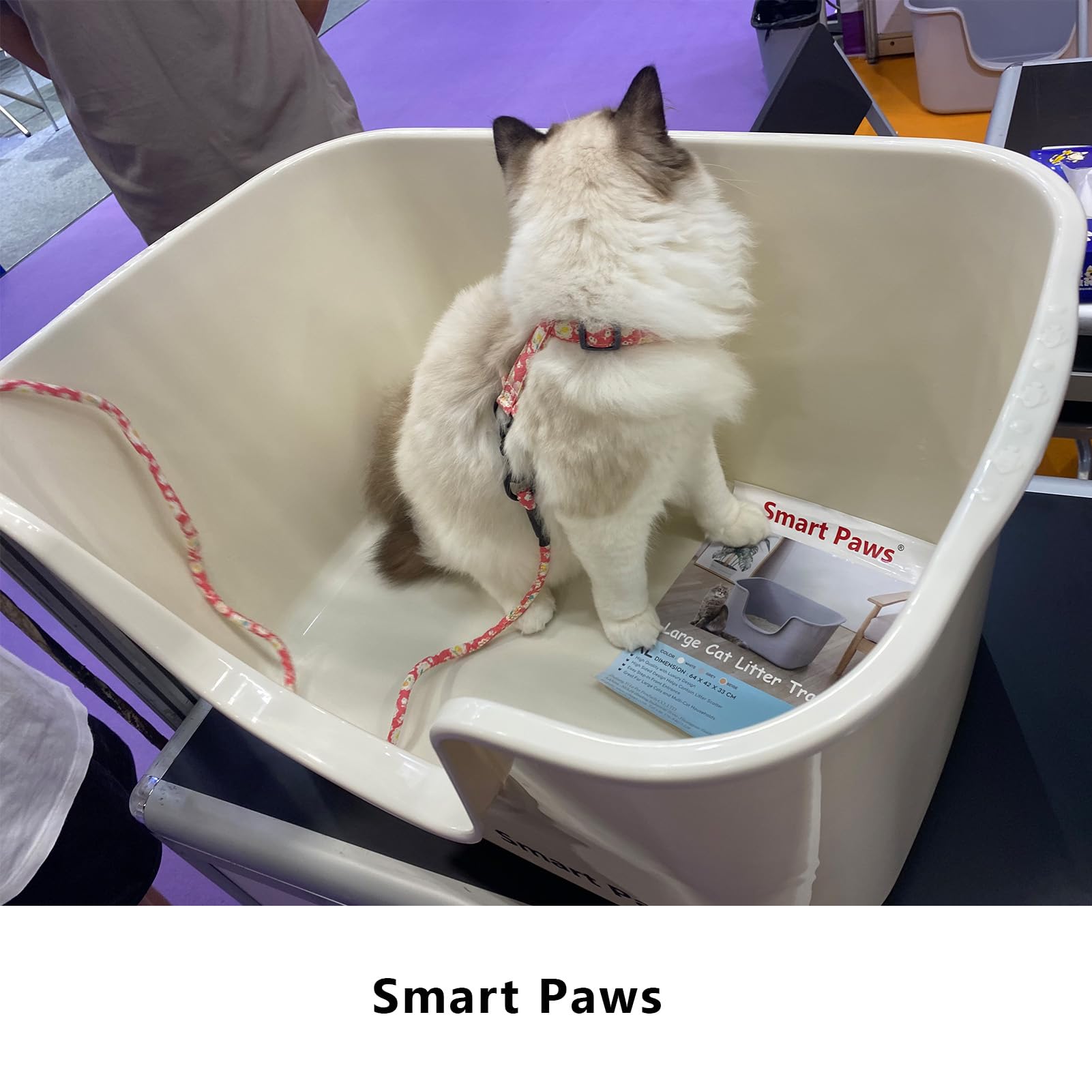 Smart Paws grey color and jumbo footprint suit modern multi-cat homes.