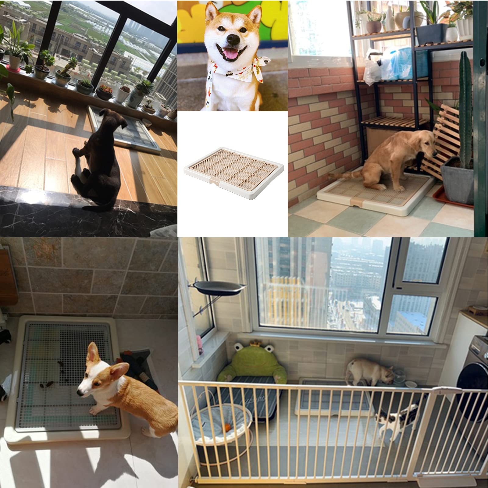Smart Paws ideal for Labradors and Golden Retrievers during house-training routines.