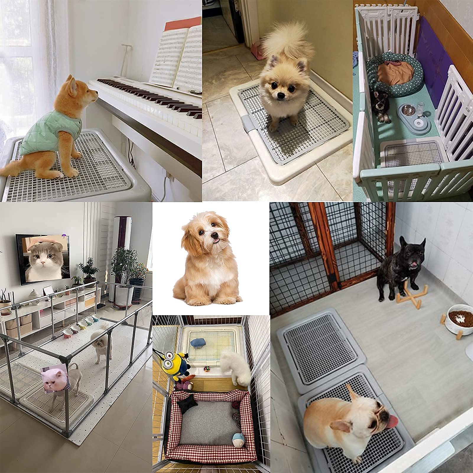 Smart Paws tray with mesh plate close-up highlighting foot-friendly height