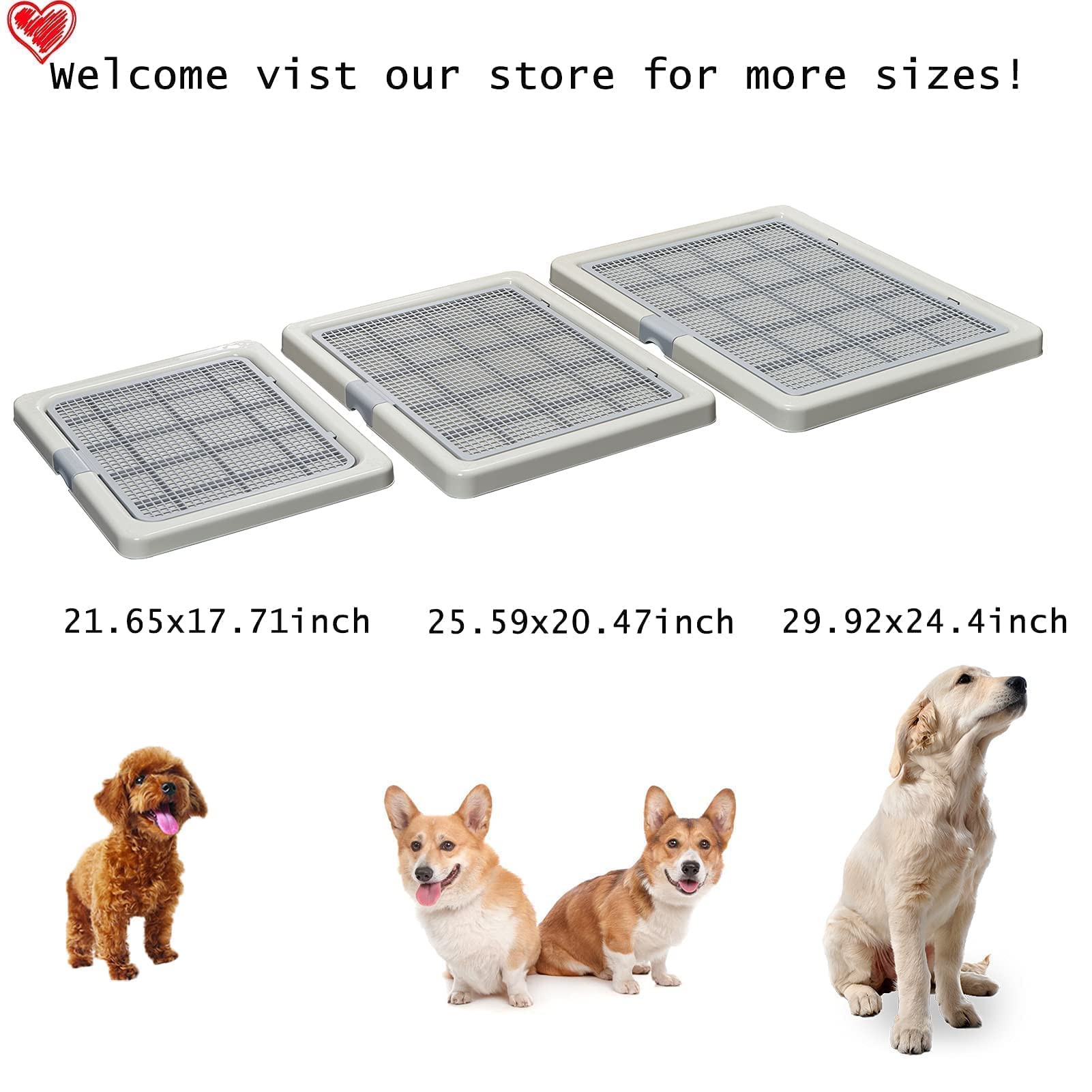 Smart Paws Yorkie and Poodle setup demo for training ease