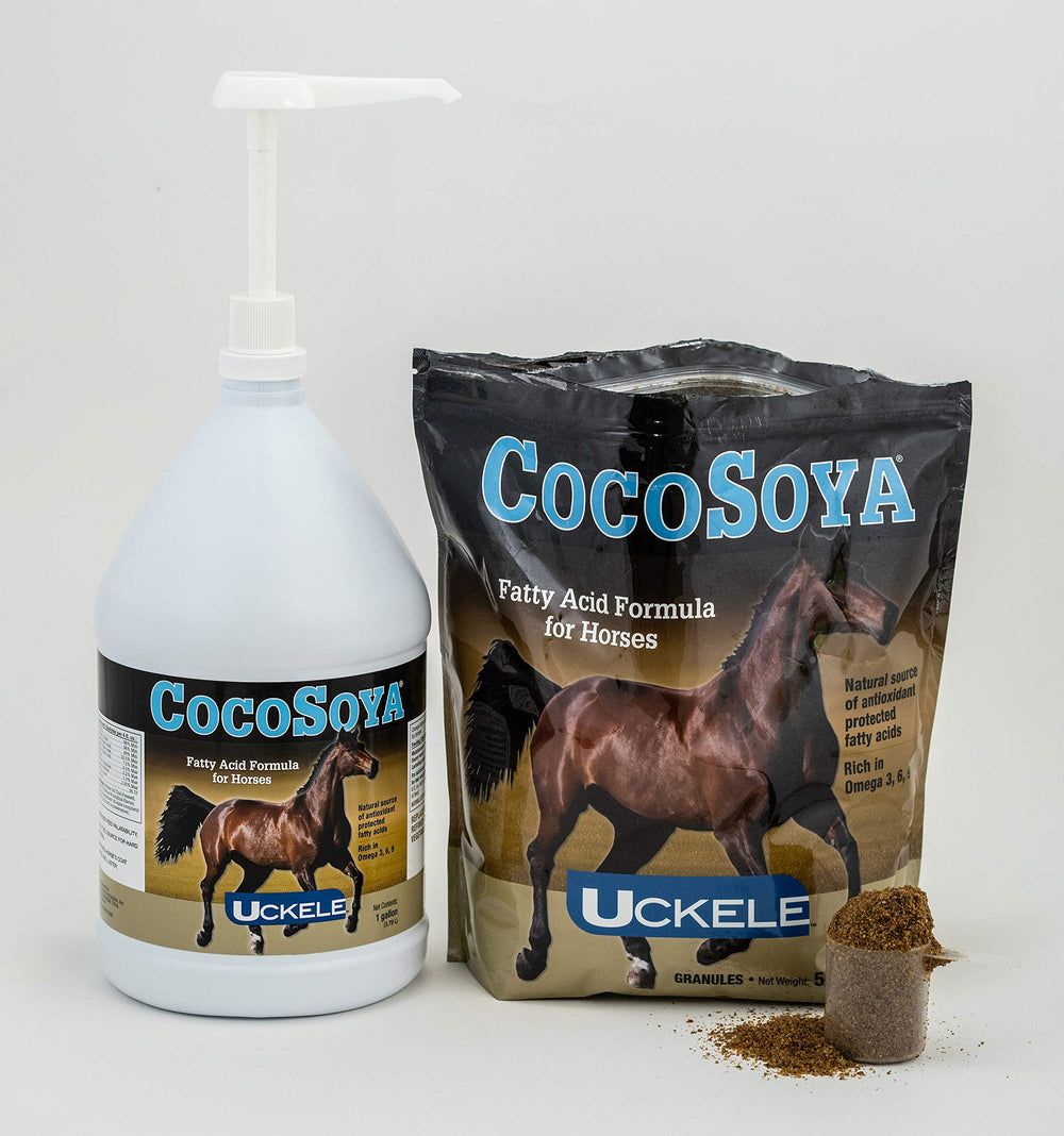 SmartEquine CocoSoya oil coat shine application promotes a lustrous coat.