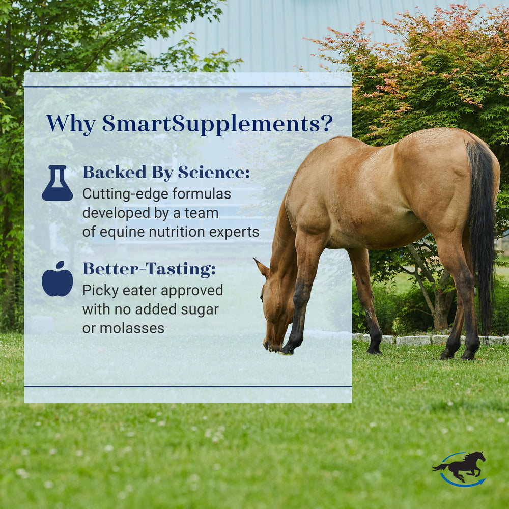 SmartEquine SmartLytes horse drinking water demonstrates hydration support
