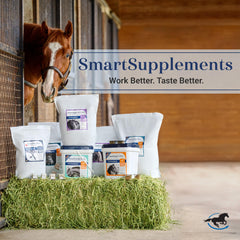 SmartEquine SmartLytes label highlights minerals and no added sugar