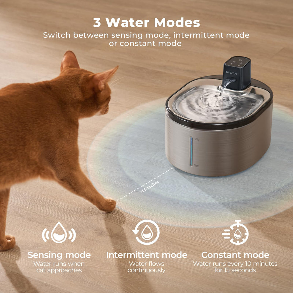 Smartoo stainless-steel body highlights durable, easy-to-clean construction for healthy hydration.