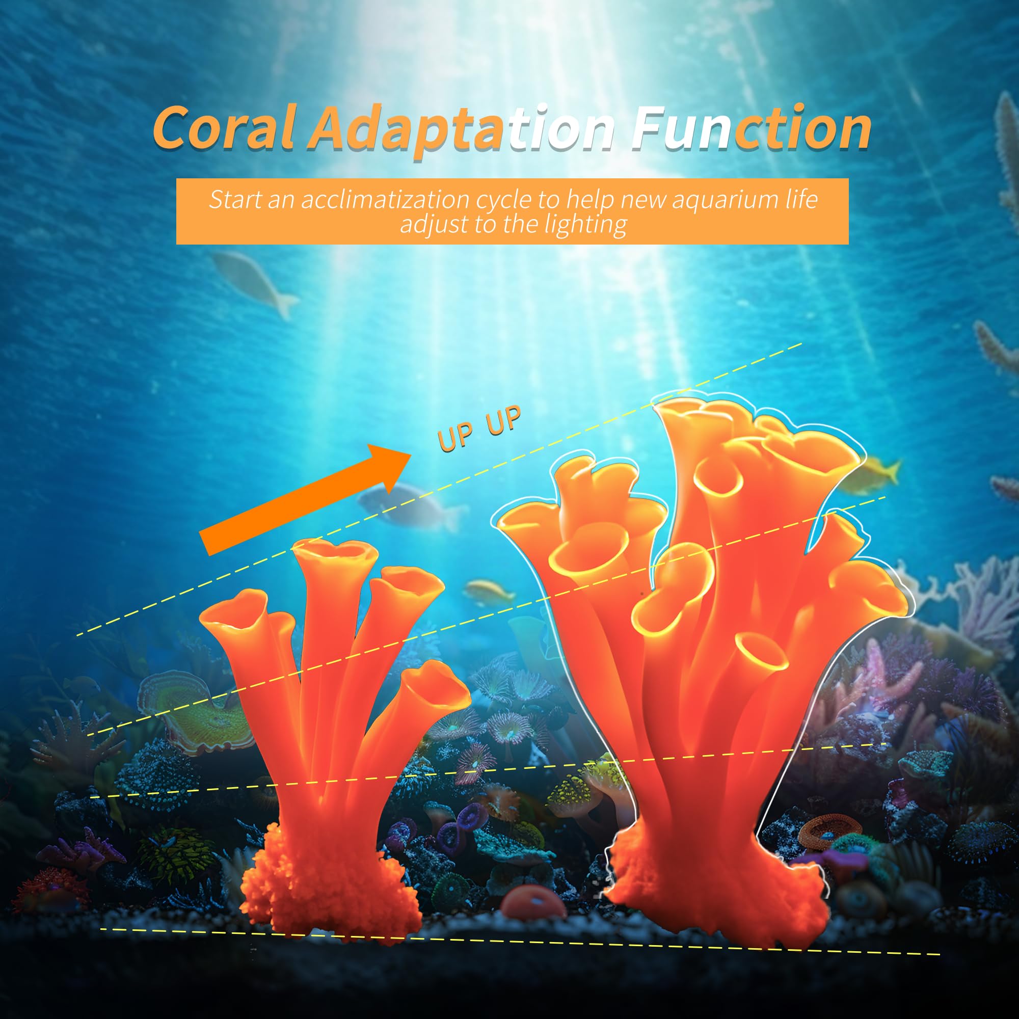 SMATFARM Aquarium Light Controller sharing feature lets you exchange custom light setups.