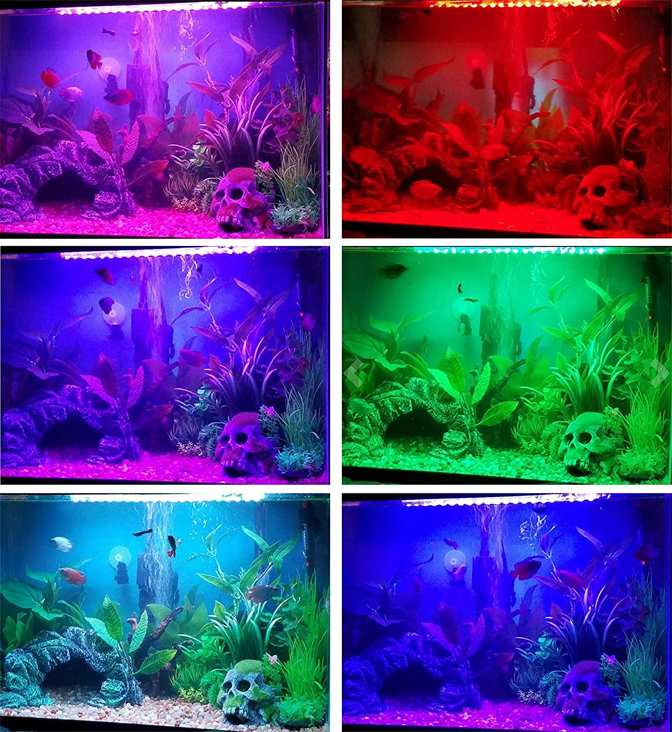 Smiful 5050 LED chip delivers brighter output for long-term aquarium lighting.