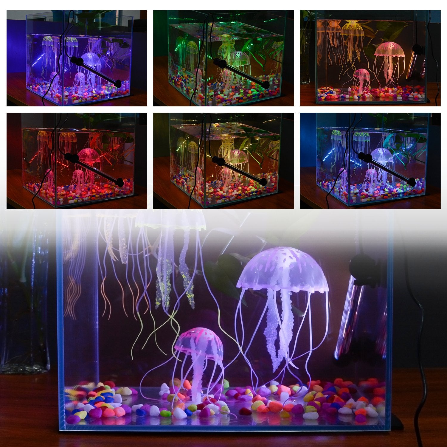 Smiful light attaches to glass tanks using two suction cups