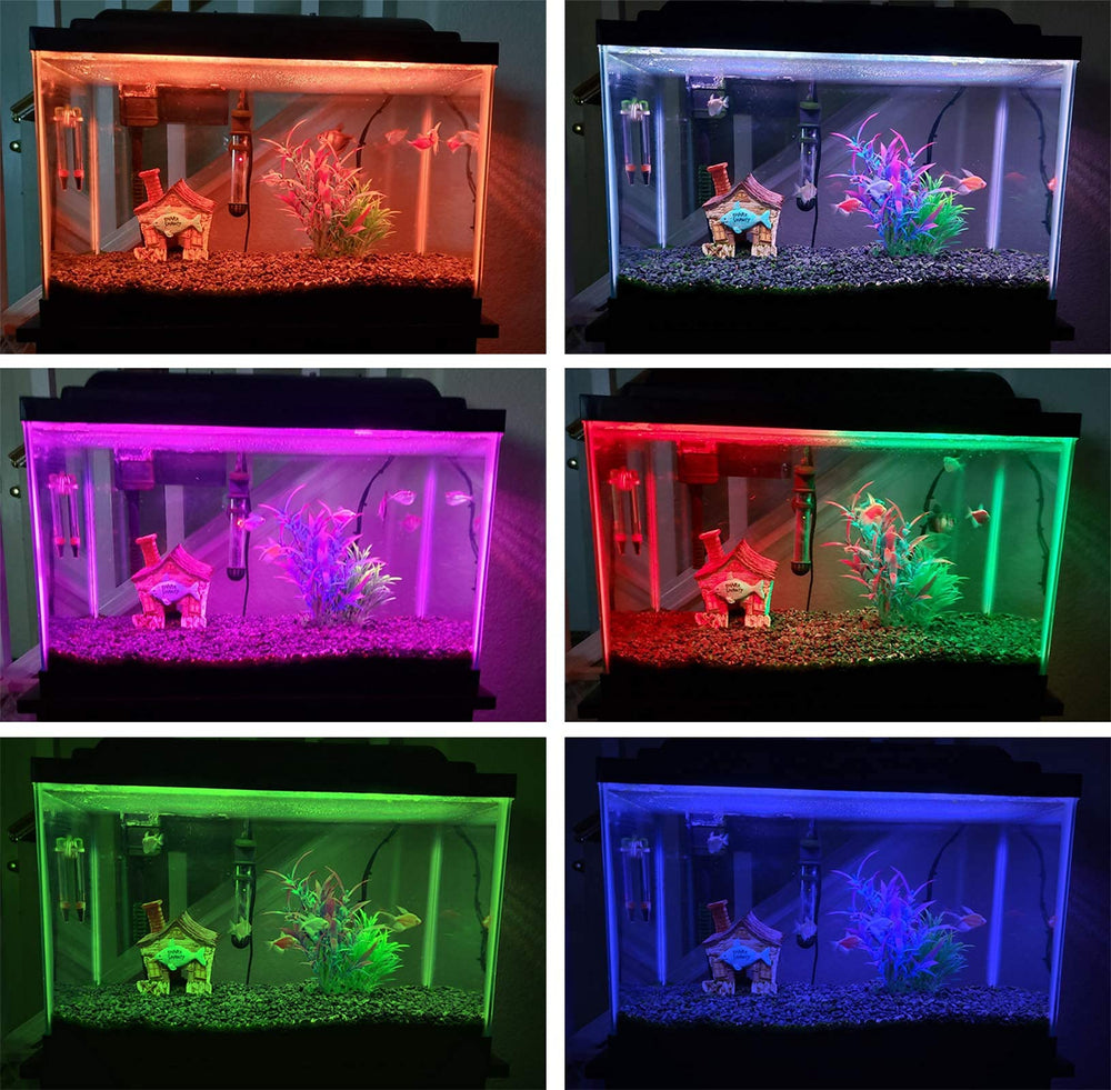Smiful LED bar creates vivid tank ambiance and highlights fish movement.