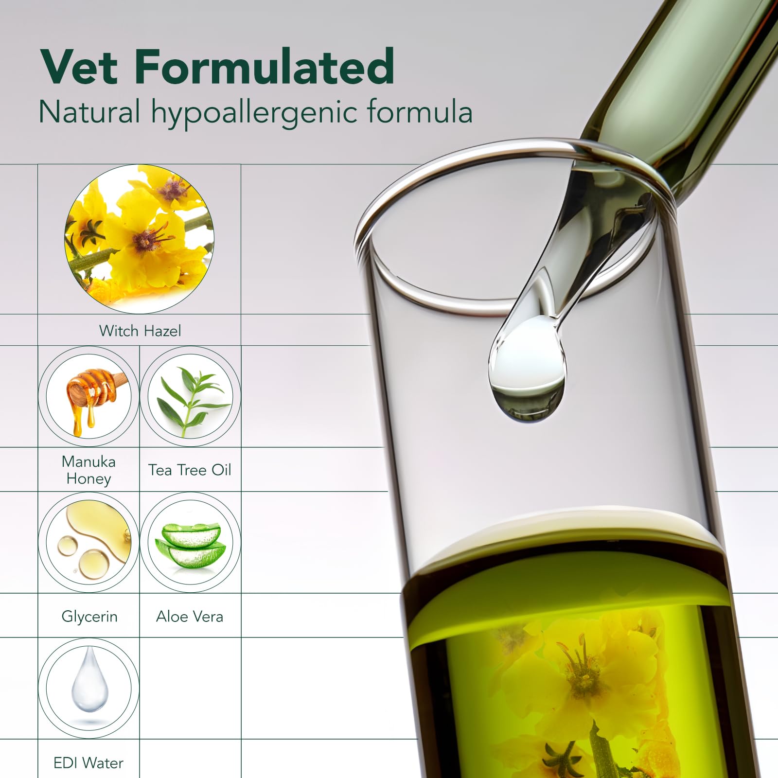 SmileDenX safe ingredients including witch hazel and aloe