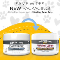 Close-up of ketoconazole and chlorhexidine medicated wipe for pet skin care