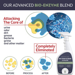Smiling Paws Pets urine remover on carpet shows enzyme-based stain lifting and odor neutralization.