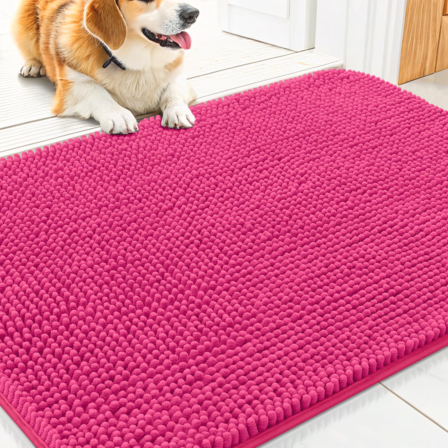 Alfombra Smiry para entrada con perros: absorbe humedad y evita resbalones.