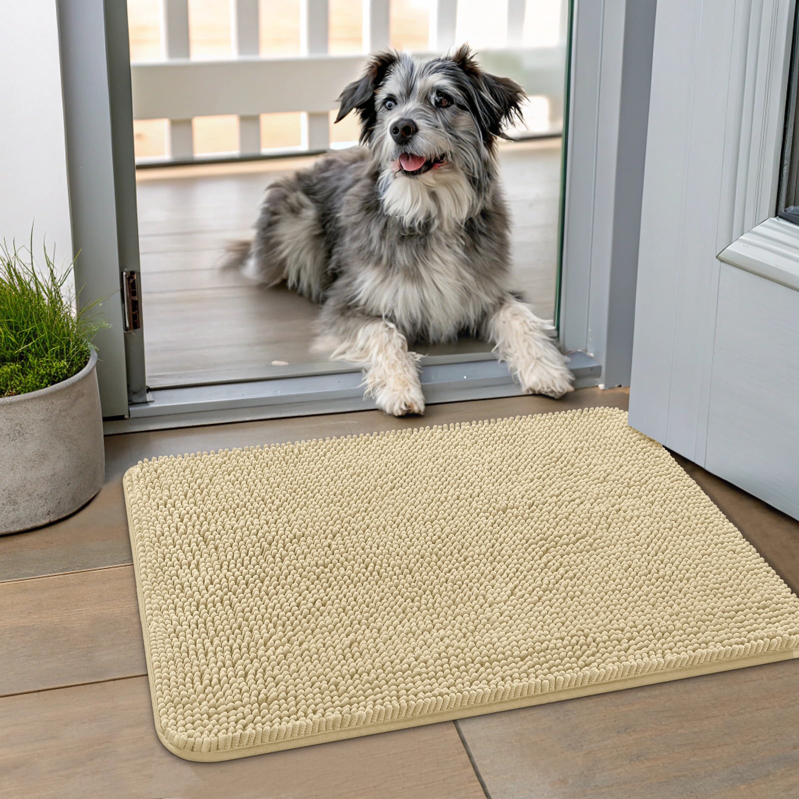 Smiry alfombra para patas mojadas 24x16 absorbe humedad al entrar.