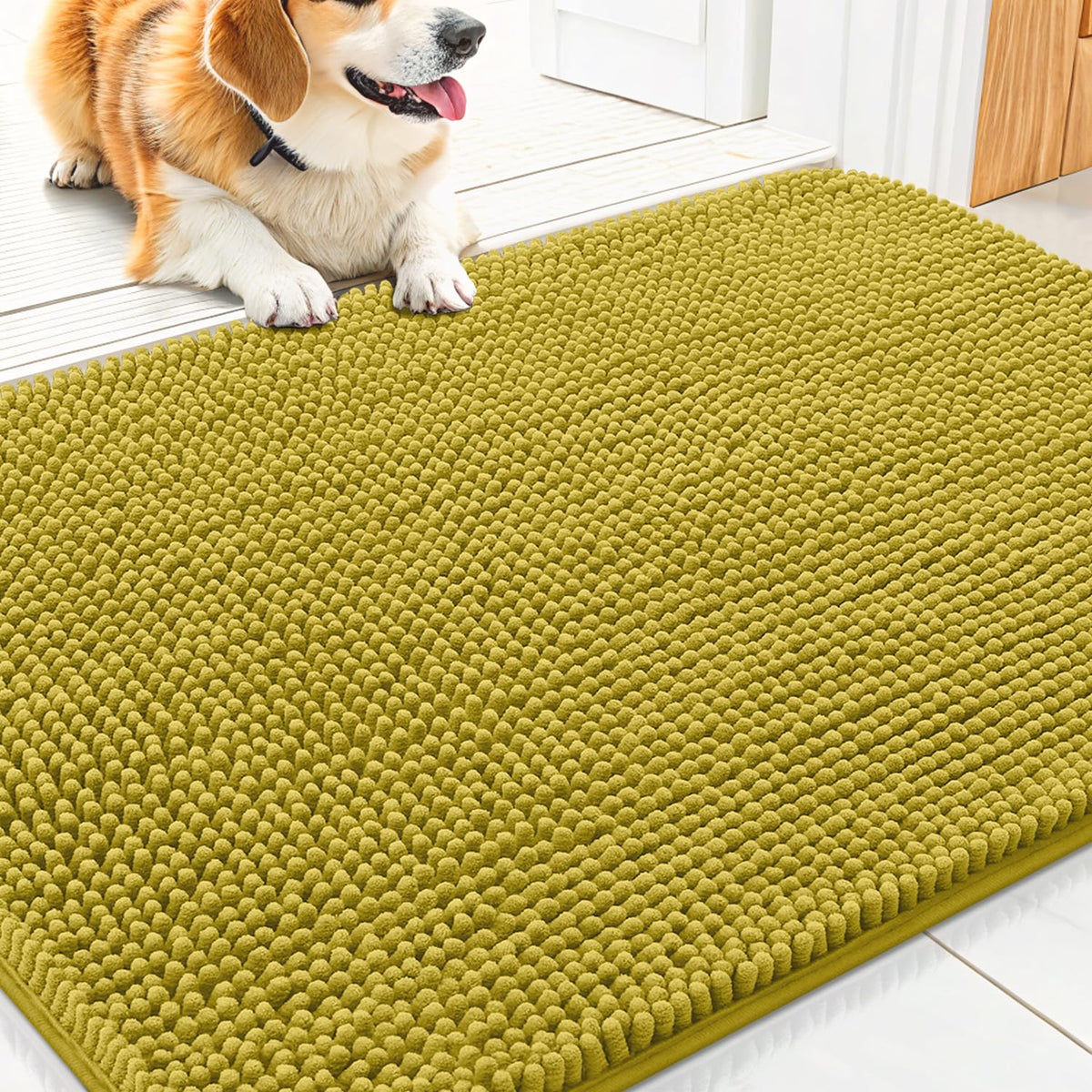 Alfombra Smiry para puerta con patas mojadas, absorbe humedad y evita charcos.