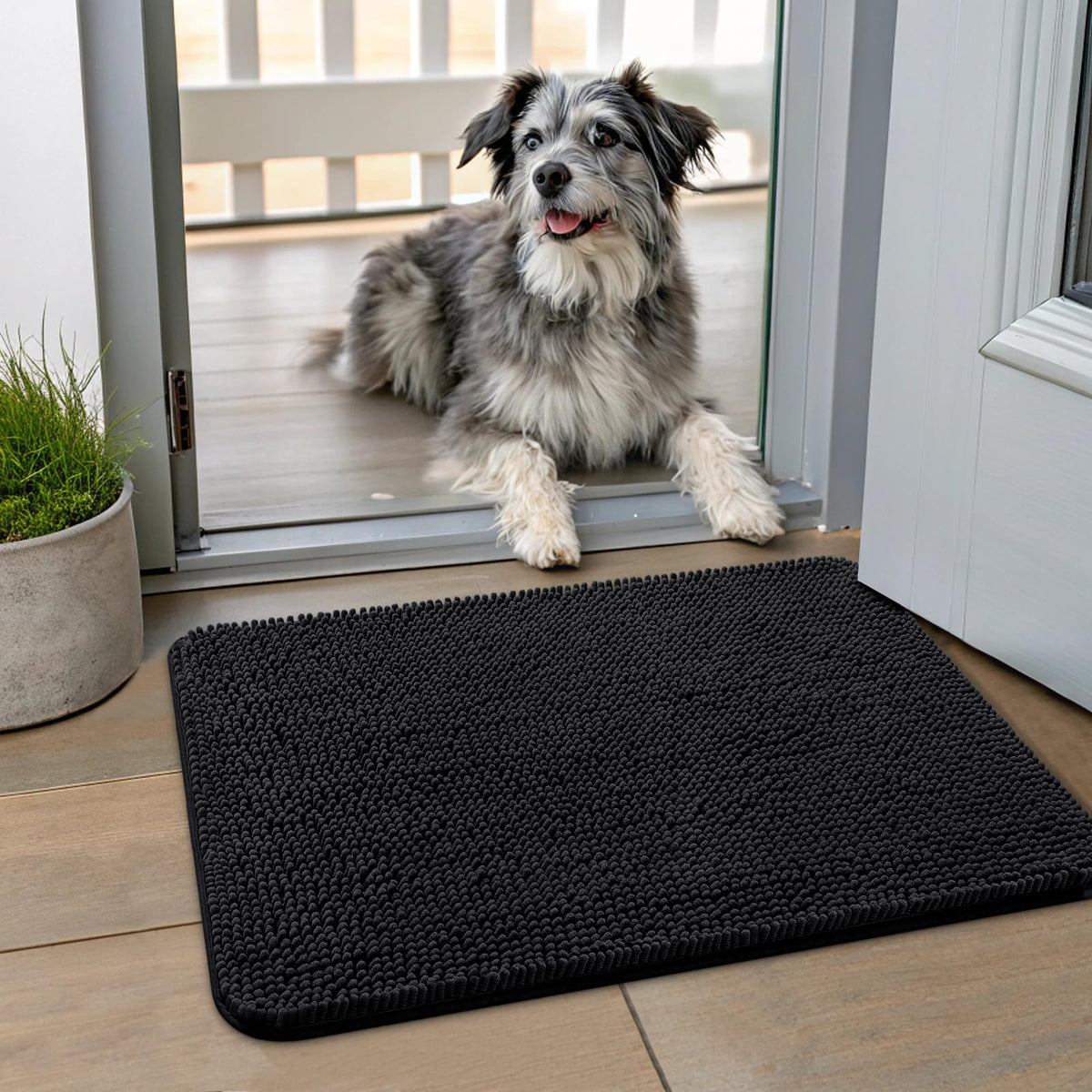 Smiry dog door mat absorbs moisture at the front door for cleaner entry