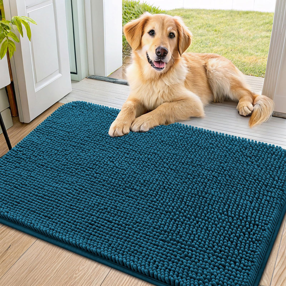 Smiry dog door mat absorbs mud and moisture for a cleaner entryway