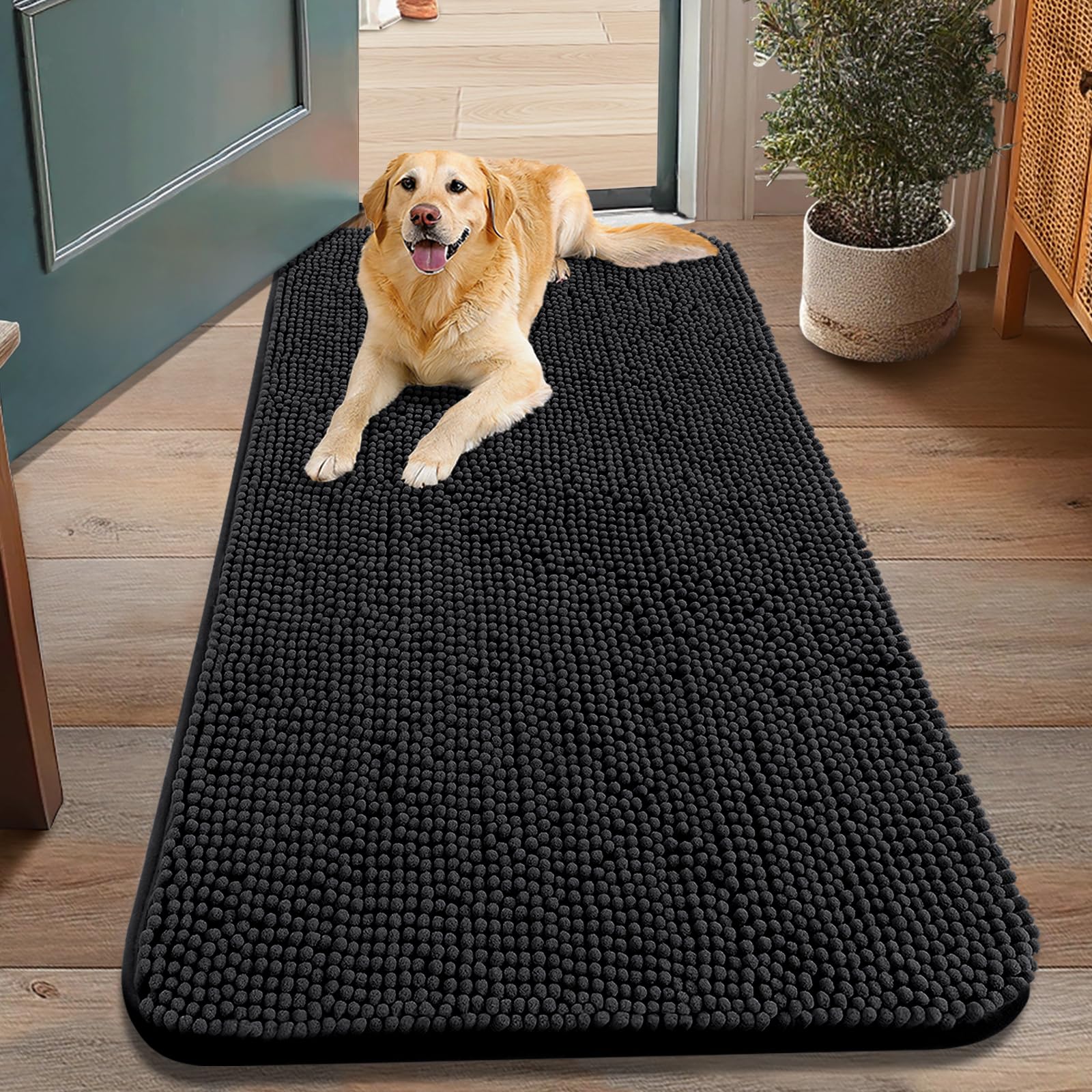 Smiry dog door mat at front door absorbs moisture and dirt.