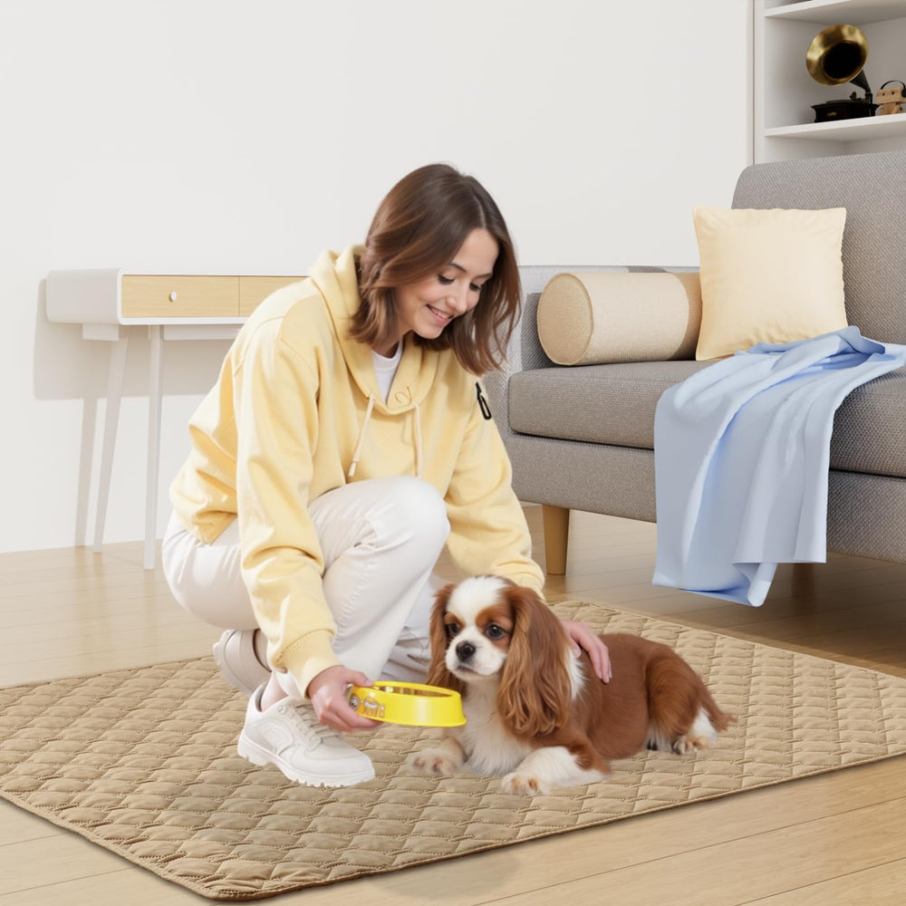 Smiry pet blanket on sofa creates cozy, easy-clean comfort for pets